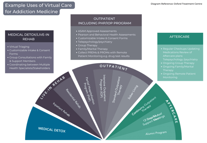 Addiction Medicine Diagram 