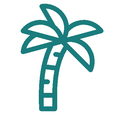 wired-outline-1855-palmtree-hover-pinch (1)