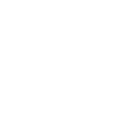 wired-outline-2606-secure-data-hover-pinch