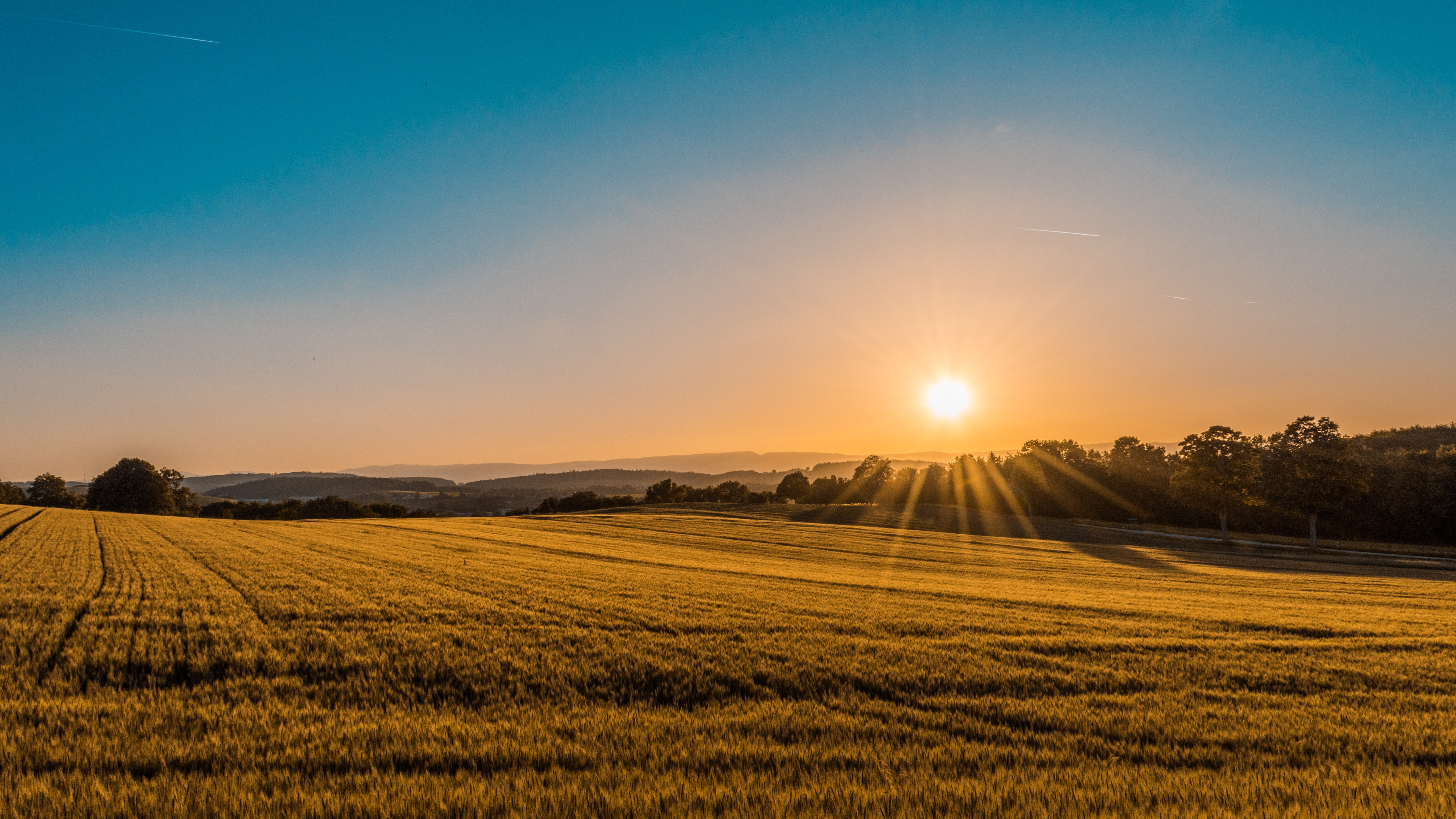 Revolutionise Rural Medicine